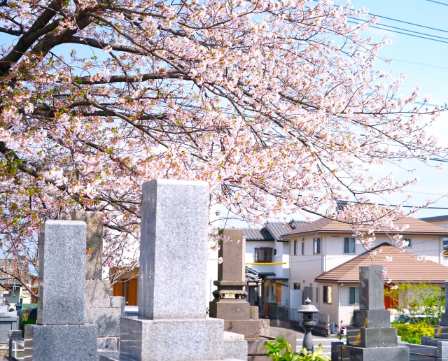 減点要因①:隣が「お墓」