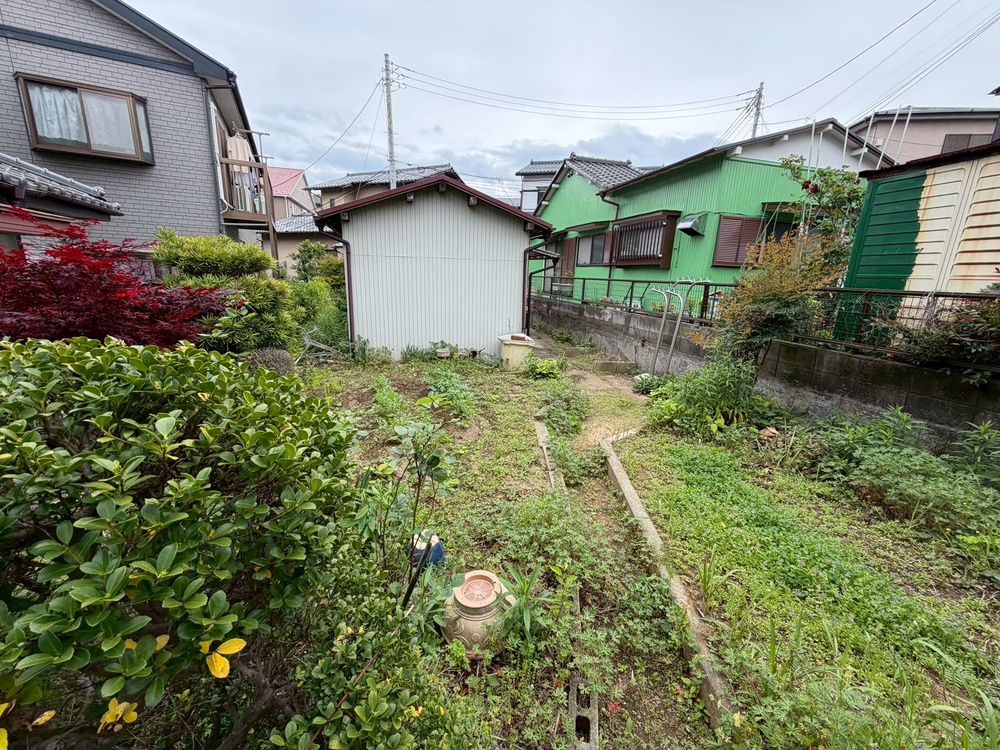 庭